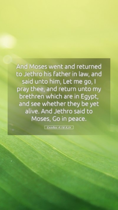Picture 05 - Exodus 4:18 KJV Mobile Phone Wallpaper - And Moses went and returned to Jethro his father - Mobile Bible Verse Wallpaper