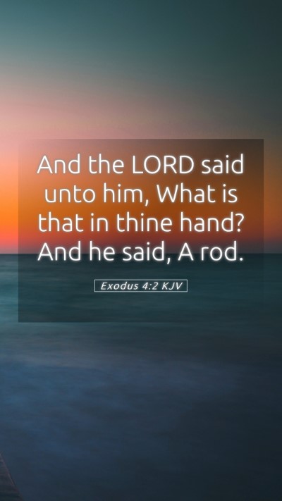 Picture 05 - Exodus 4:2 KJV Mobile Phone Wallpaper - And the LORD said unto him, What is that in thine - Mobile Bible Verse Wallpaper