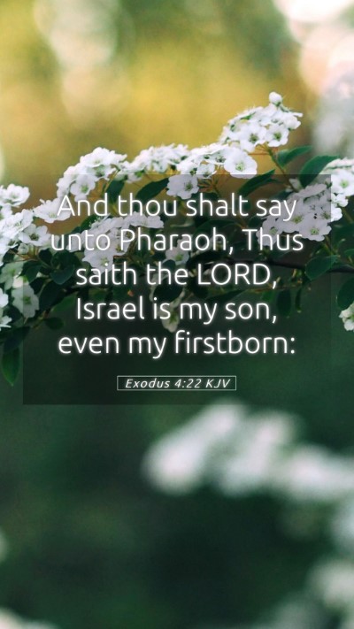 Picture 05 - Exodus 4:22 KJV Mobile Phone Wallpaper - And thou shalt say unto Pharaoh, Thus saith the - Mobile Bible Verse Wallpaper