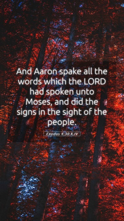 Picture 05 - Exodus 4:30 KJV Mobile Phone Wallpaper - And Aaron spake all the words which the LORD had - Mobile Bible Verse Wallpaper