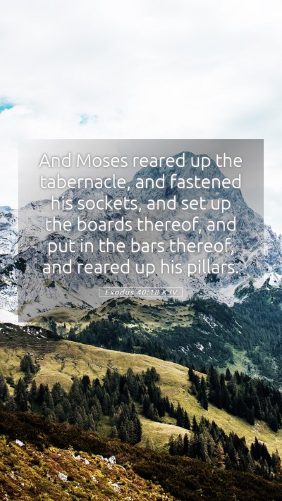 Picture 05 - Exodus 40:18 KJV Mobile Phone Wallpaper - And Moses reared up the tabernacle, and fastened - Mobile Bible Verse Wallpaper