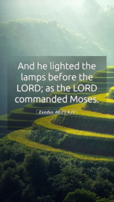 Picture 05 - Exodus 40:25 KJV Mobile Phone Wallpaper - And he lighted the lamps before the LORD; as the - Mobile Bible Verse Wallpaper