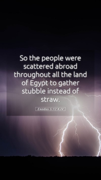 Picture 05 - Exodus 5:12 KJV Mobile Phone Wallpaper - So the people were scattered abroad throughout - Mobile Bible Verse Wallpaper