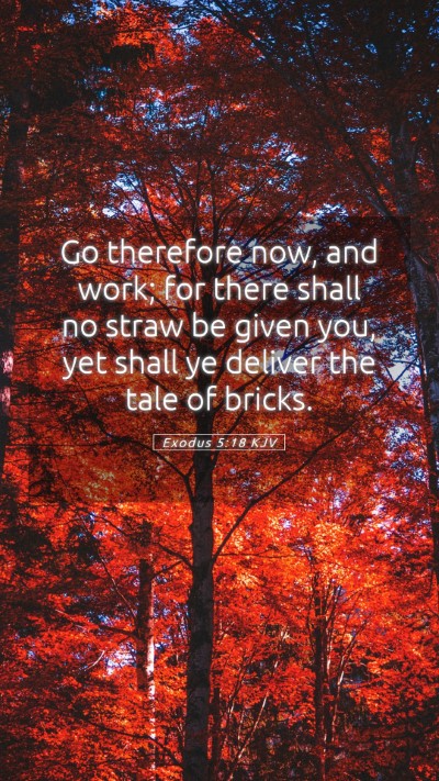 Picture 05 - Exodus 5:18 KJV Mobile Phone Wallpaper - Go therefore now, and work; for there shall no - Mobile Bible Verse Wallpaper