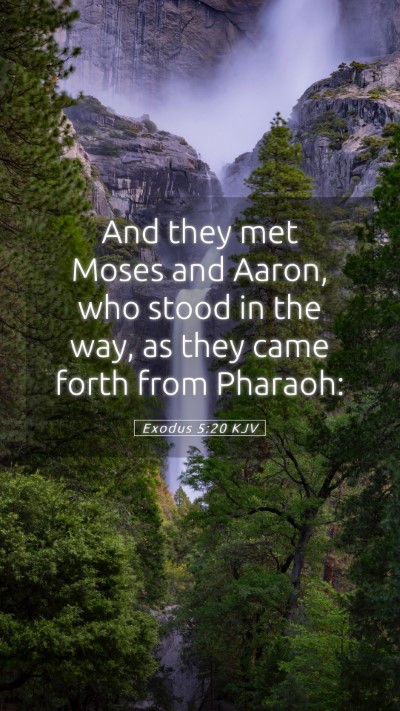 Picture 05 - Exodus 5:20 KJV Mobile Phone Wallpaper - And they met Moses and Aaron, who stood in the - Mobile Bible Verse Wallpaper