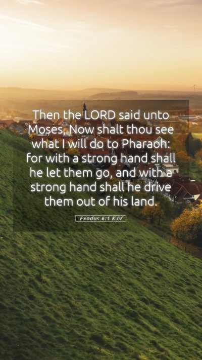 Picture 05 - Exodus 6:1 KJV Mobile Phone Wallpaper - Then the LORD said unto Moses, Now shalt thou see - Mobile Bible Verse Wallpaper