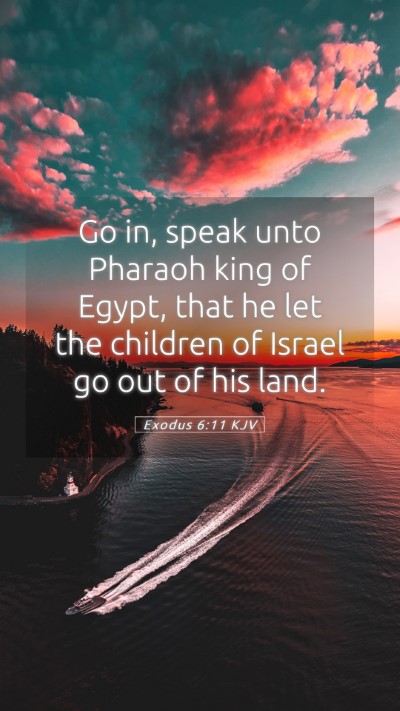 Picture 05 - Exodus 6:11 KJV Mobile Phone Wallpaper - Go in, speak unto Pharaoh king of Egypt, that he - Mobile Bible Verse Wallpaper