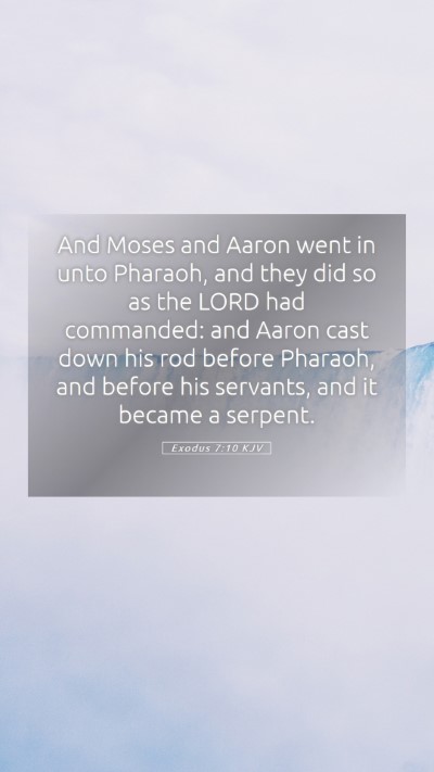 Picture 05 - Exodus 7:10 KJV Mobile Phone Wallpaper - And Moses and Aaron went in unto Pharaoh, and - Mobile Bible Verse Wallpaper