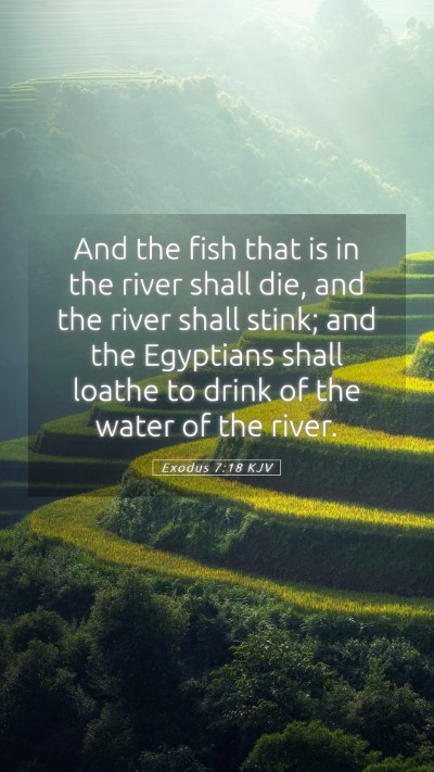 Picture 05 - Exodus 7:18 KJV Mobile Phone Wallpaper - And the fish that is in the river shall die, and - Mobile Bible Verse Wallpaper