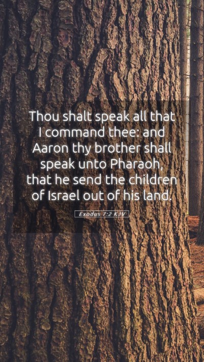 Picture 05 - Exodus 7:2 KJV Mobile Phone Wallpaper - Thou shalt speak all that I command thee: and - Mobile Bible Verse Wallpaper
