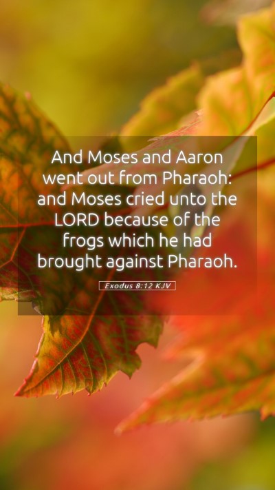 Picture 05 - Exodus 8:12 KJV Mobile Phone Wallpaper - And Moses and Aaron went out from Pharaoh: and - Mobile Bible Verse Wallpaper