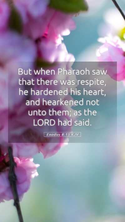 Picture 05 - Exodus 8:15 KJV Mobile Phone Wallpaper - But when Pharaoh saw that there was respite, he - Mobile Bible Verse Wallpaper