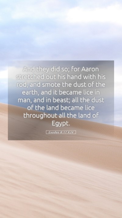 Picture 05 - Exodus 8:17 KJV Mobile Phone Wallpaper - And they did so; for Aaron stretched out his hand - Mobile Bible Verse Wallpaper