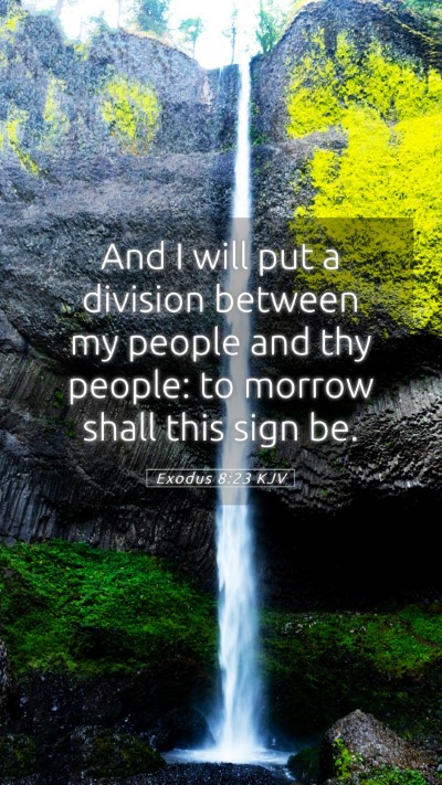 Picture 05 - Exodus 8:23 KJV Mobile Phone Wallpaper - And I will put a division between my people and - Mobile Bible Verse Wallpaper