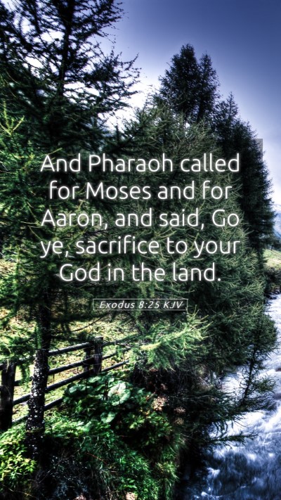 Picture 05 - Exodus 8:25 KJV Mobile Phone Wallpaper - And Pharaoh called for Moses and for Aaron, and - Mobile Bible Verse Wallpaper