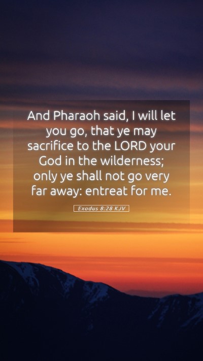Picture 05 - Exodus 8:28 KJV Mobile Phone Wallpaper - And Pharaoh said, I will let you go, that ye may - Mobile Bible Verse Wallpaper