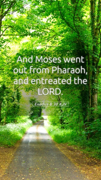 Picture 05 - Exodus 8:30 KJV Mobile Phone Wallpaper - And Moses went out from Pharaoh, and entreated - Mobile Bible Verse Wallpaper