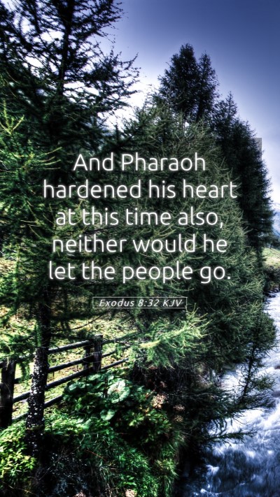 Picture 05 - Exodus 8:32 KJV Mobile Phone Wallpaper - And Pharaoh hardened his heart at this time also, - Mobile Bible Verse Wallpaper
