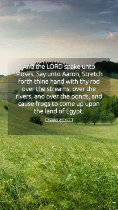 Picture 05 - Exodus 8:5 KJV Mobile Phone Wallpaper - And the LORD spake unto Moses, Say unto Aaron, - Mobile Bible Verse Wallpaper