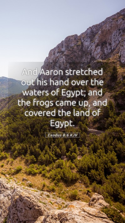 Picture 05 - Exodus 8:6 KJV Mobile Phone Wallpaper - And Aaron stretched out his hand over the waters - Mobile Bible Verse Wallpaper