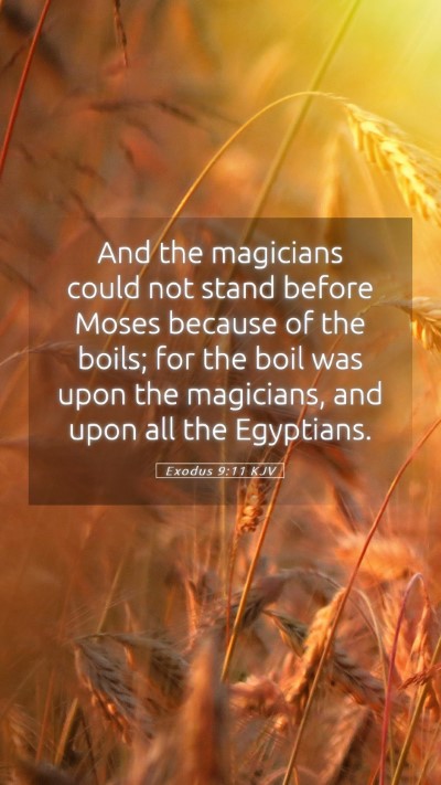 Picture 05 - Exodus 9:11 KJV Mobile Phone Wallpaper - And the magicians could not stand before Moses - Mobile Bible Verse Wallpaper