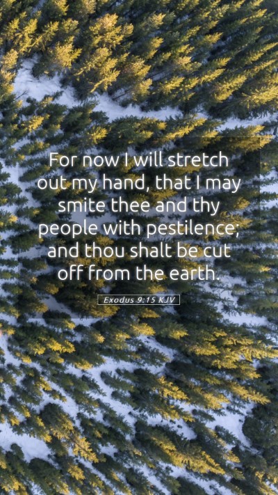 Picture 05 - Exodus 9:15 KJV Mobile Phone Wallpaper - For now I will stretch out my hand, that I may - Mobile Bible Verse Wallpaper