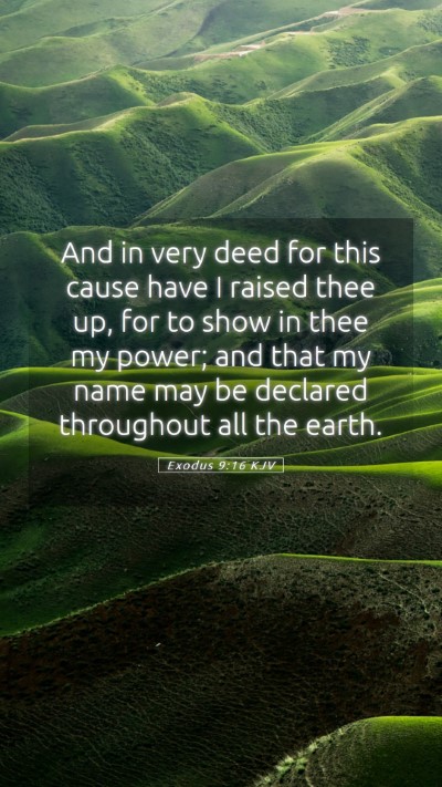 Picture 05 - Exodus 9:16 KJV Mobile Phone Wallpaper - And in very deed for this cause have I raised - Mobile Bible Verse Wallpaper
