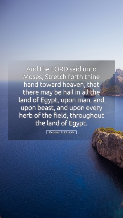 Picture 05 - Exodus 9:22 KJV Mobile Phone Wallpaper - And the LORD said unto Moses, Stretch forth thine - Mobile Bible Verse Wallpaper