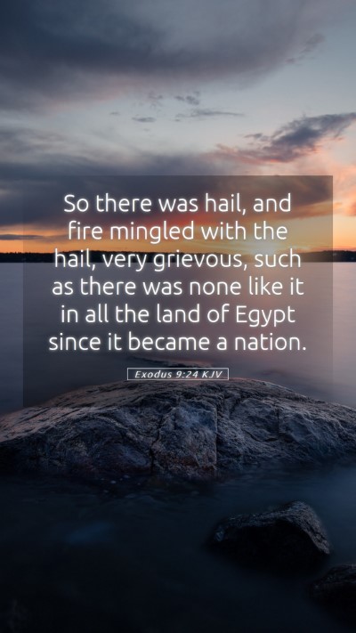 Picture 05 - Exodus 9:24 KJV Mobile Phone Wallpaper - So there was hail, and fire mingled with the - Mobile Bible Verse Wallpaper