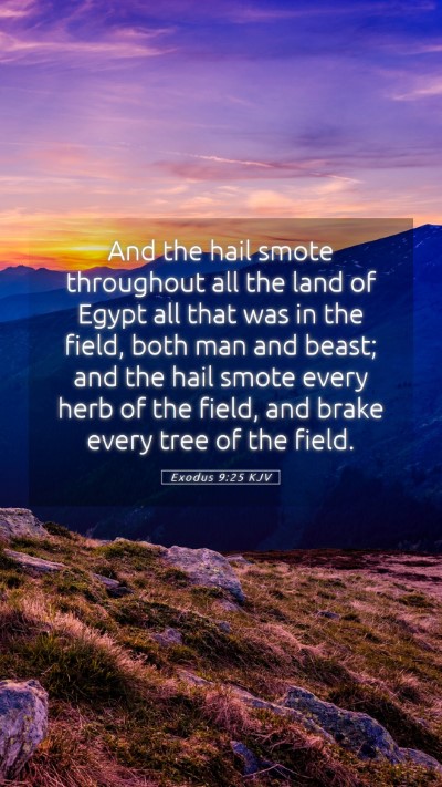 Picture 05 - Exodus 9:25 KJV Mobile Phone Wallpaper - And the hail smote throughout all the land of - Mobile Bible Verse Wallpaper