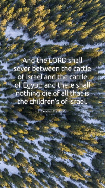 Picture 05 - Exodus 9:4 KJV Mobile Phone Wallpaper - And the LORD shall sever between the cattle of - Mobile Bible Verse Wallpaper