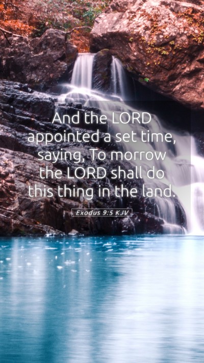 Picture 05 - Exodus 9:5 KJV Mobile Phone Wallpaper - And the LORD appointed a set time, saying, To - Mobile Bible Verse Wallpaper