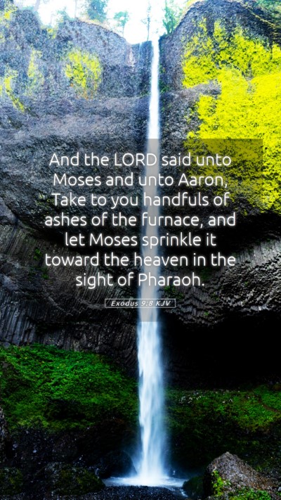 Picture 05 - Exodus 9:8 KJV Mobile Phone Wallpaper - And the LORD said unto Moses and unto Aaron, Take - Mobile Bible Verse Wallpaper