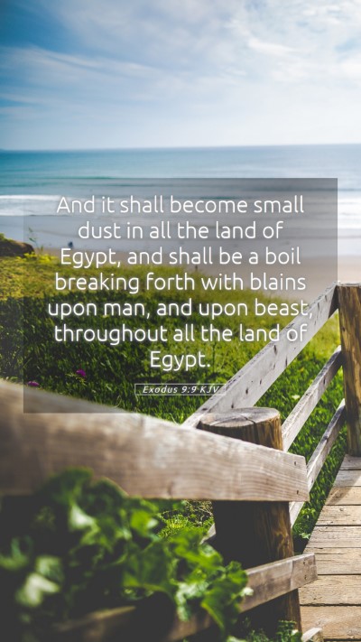 Picture 05 - Exodus 9:9 KJV Mobile Phone Wallpaper - And it shall become small dust in all the land of - Mobile Bible Verse Wallpaper