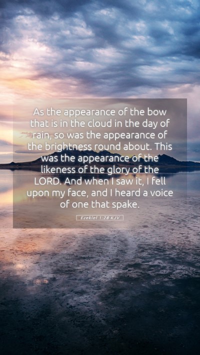 Picture 05 - Ezekiel 1:28 KJV Mobile Phone Wallpaper - As the appearance of the bow that is in the cloud - Mobile Bible Verse Wallpaper