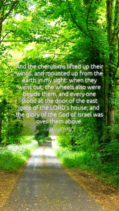 Picture 05 - Ezekiel 10:19 KJV Mobile Phone Wallpaper - And the cherubims lifted up their wings, and - Mobile Bible Verse Wallpaper