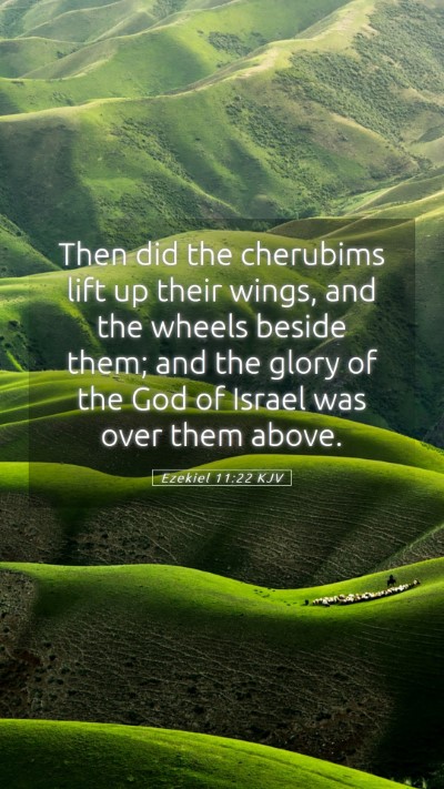 Picture 05 - Ezekiel 11:22 KJV Mobile Phone Wallpaper - Then did the cherubims lift up their wings, and - Mobile Bible Verse Wallpaper