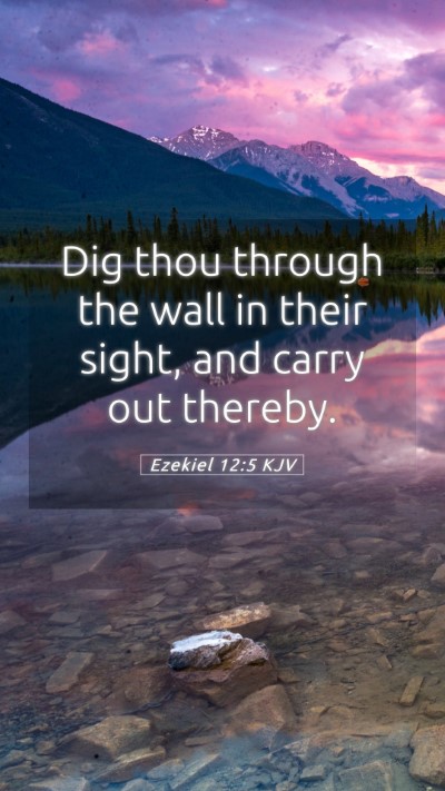 Picture 05 - Ezekiel 12:5 KJV Mobile Phone Wallpaper - Dig thou through the wall in their sight, and - Mobile Bible Verse Wallpaper