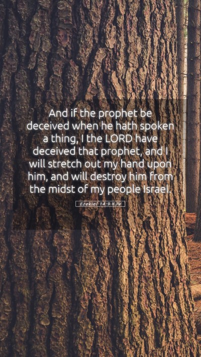 Picture 05 - Ezekiel 14:9 KJV Mobile Phone Wallpaper - And if the prophet be deceived when he hath - Mobile Bible Verse Wallpaper