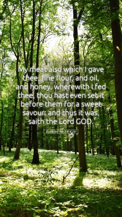 Picture 05 - Ezekiel 16:19 KJV Mobile Phone Wallpaper - My meat also which I gave thee, fine flour, and - Mobile Bible Verse Wallpaper