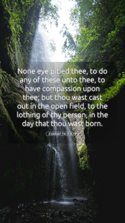 Picture 05 - Ezekiel 16:5 KJV Mobile Phone Wallpaper - None eye pitied thee, to do any of these unto - Mobile Bible Verse Wallpaper