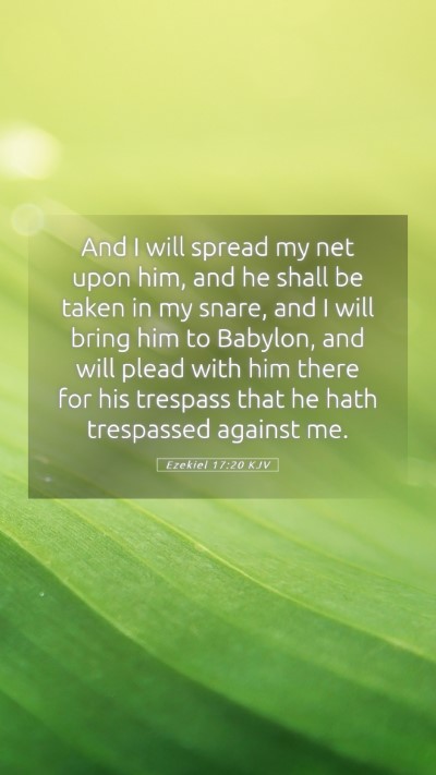 Picture 05 - Ezekiel 17:20 KJV Mobile Phone Wallpaper - And I will spread my net upon him, and he shall - Mobile Bible Verse Wallpaper