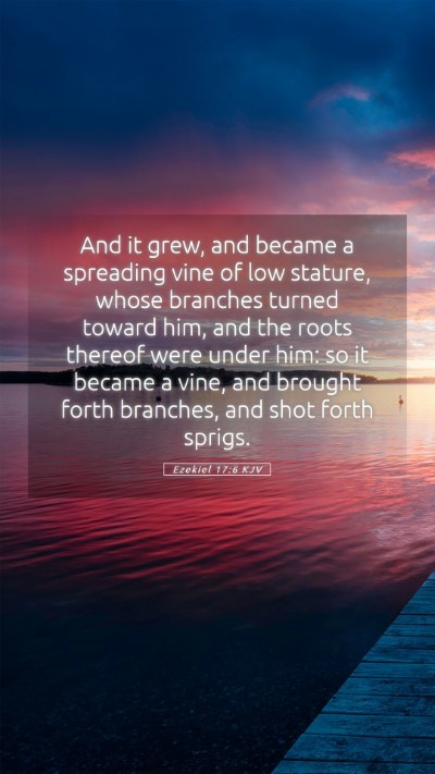 Picture 05 - Ezekiel 17:6 KJV Mobile Phone Wallpaper - And it grew, and became a spreading vine of low - Mobile Bible Verse Wallpaper