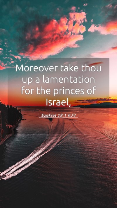 Picture 05 - Ezekiel 19:1 KJV Mobile Phone Wallpaper - Moreover take thou up a lamentation for the - Mobile Bible Verse Wallpaper