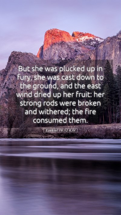 Picture 05 - Ezekiel 19:12 KJV Mobile Phone Wallpaper - But she was plucked up in fury, she was cast down - Mobile Bible Verse Wallpaper