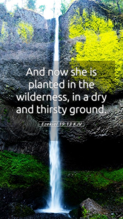 Picture 05 - Ezekiel 19:13 KJV Mobile Phone Wallpaper - And now she is planted in the wilderness, in a - Mobile Bible Verse Wallpaper