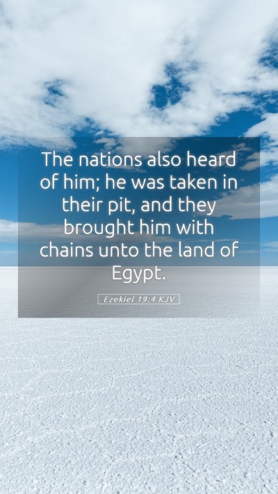 Picture 05 - Ezekiel 19:4 KJV Mobile Phone Wallpaper - The nations also heard of him; he was taken in - Mobile Bible Verse Wallpaper