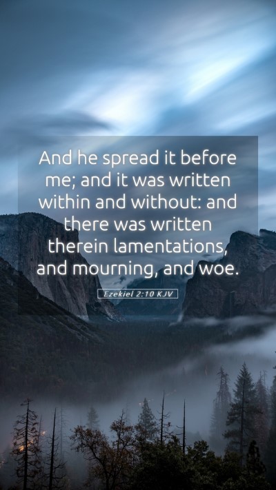 Picture 05 - Ezekiel 2:10 KJV Mobile Phone Wallpaper - And he spread it before me; and it was written - Mobile Bible Verse Wallpaper