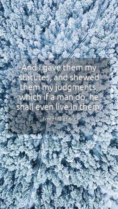 Picture 05 - Ezekiel 20:11 KJV Mobile Phone Wallpaper - And I gave them my statutes, and shewed them my - Mobile Bible Verse Wallpaper