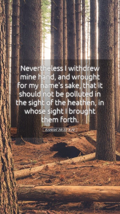 Picture 05 - Ezekiel 20:22 KJV Mobile Phone Wallpaper - Nevertheless I withdrew mine hand, and wrought - Mobile Bible Verse Wallpaper